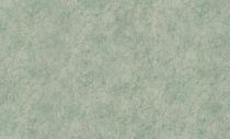 Обои виниловые на флиз. основе Ambiente ФОН Нео/Жардин/ Фернандо гор тисн зел (91)  540336 1,06x10м