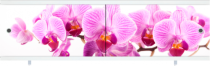 АКЦИЯ Экран 1,48 "Арт" дикая орхидея